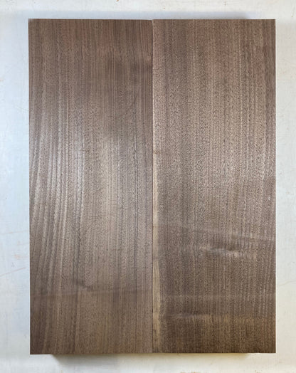 Walnut Body Blank - 2 Piece #6