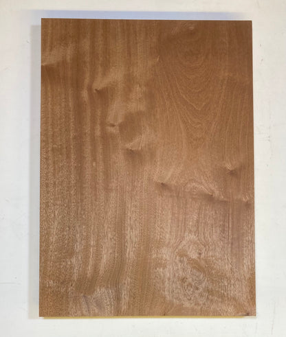 Sapele Body Blank - 1 Piece #24