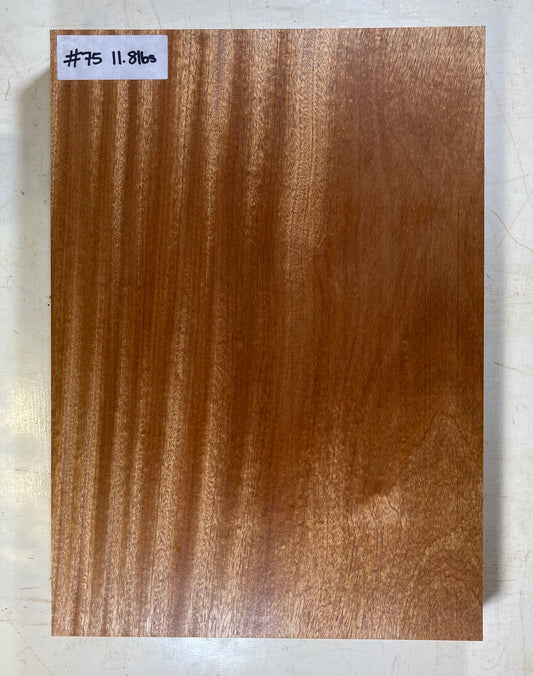Sapele Body Blank - 1 Piece #75