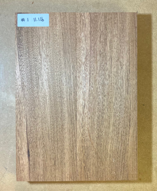 Cuban Mahogany Body Blank - 2 Piece #1