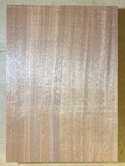 Sapele Body Blank - 1 Piece #3