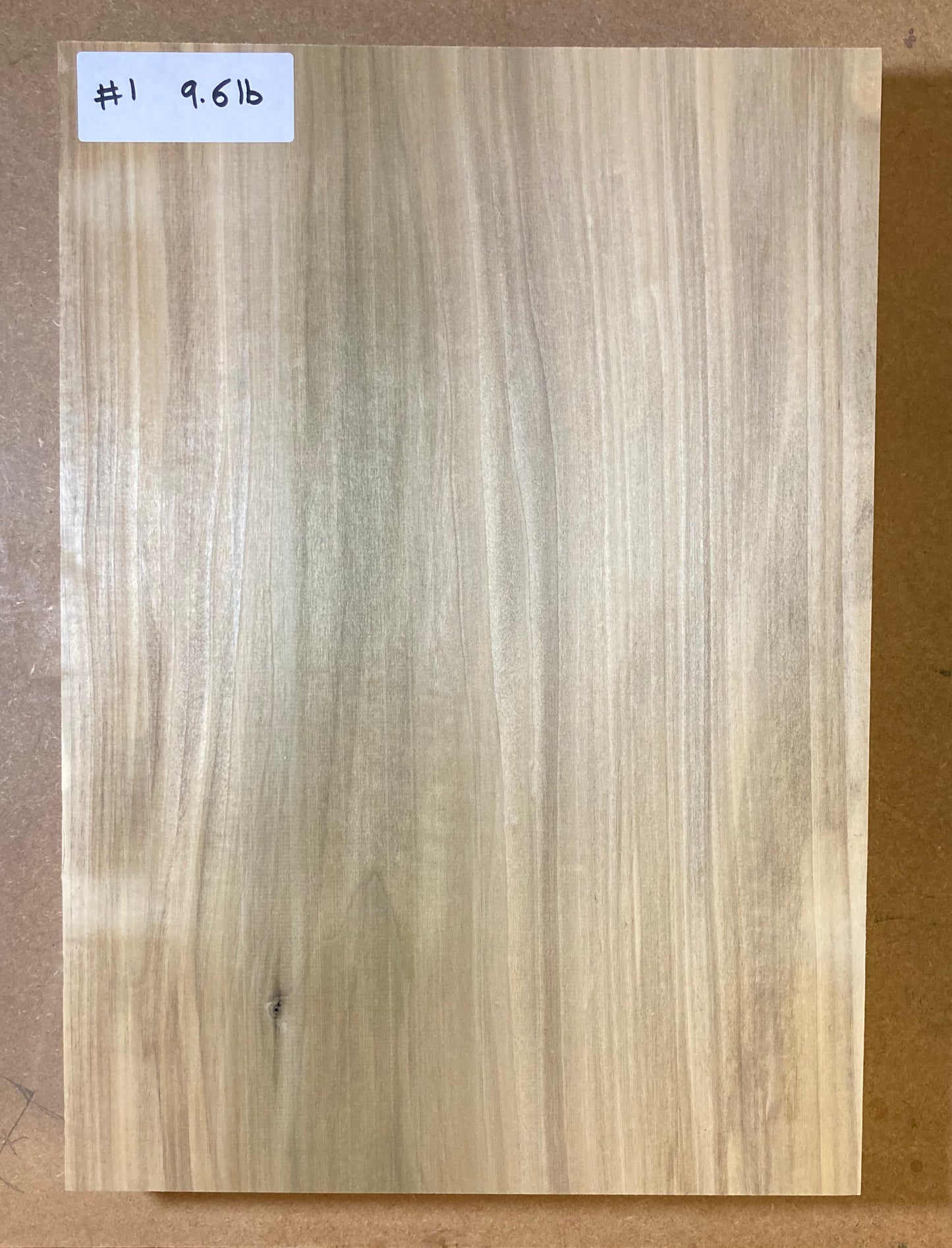 Tulip/Poplar Body Blank - 1 Piece #1