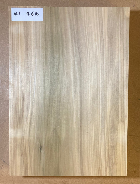 Tulip/Poplar Body Blank - 1 Piece #1