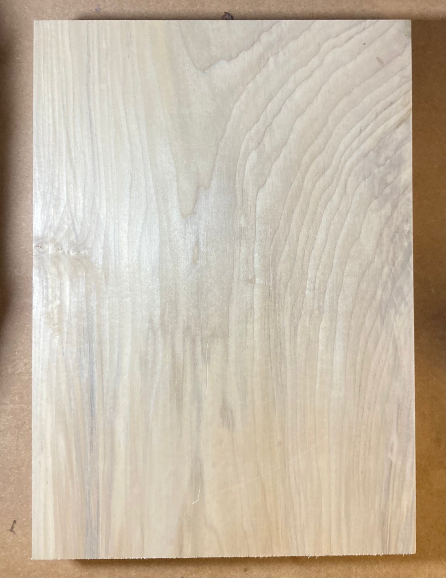 Tulip/Poplar Body Blank - 1 Piece #7
