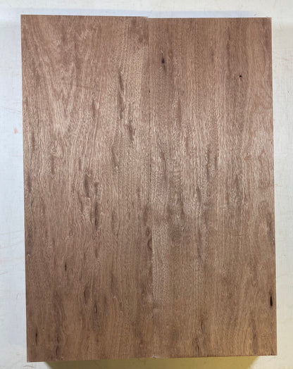 Sapele Body Blank - 2 Piece #69