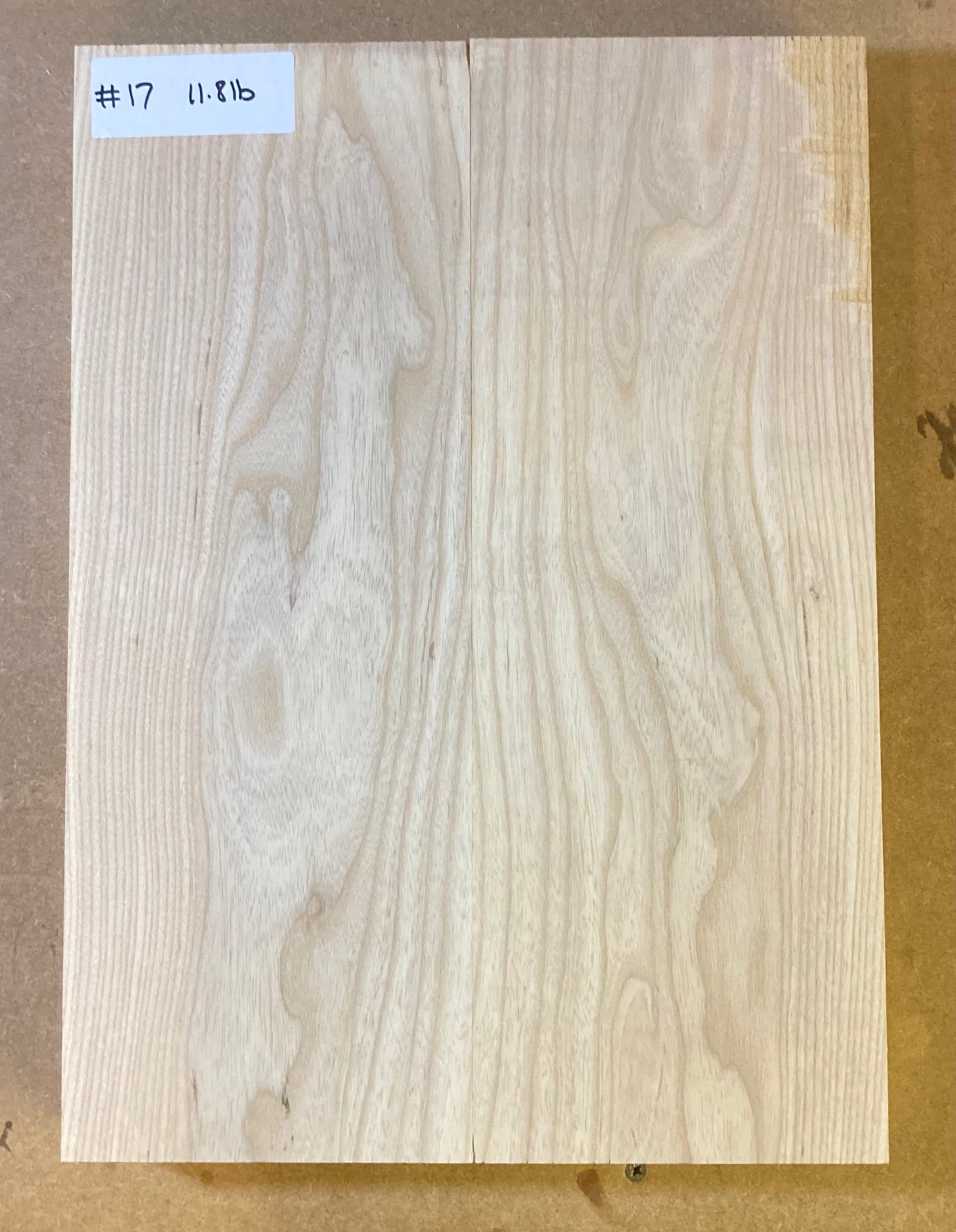 Ash Body Blank - 2 Piece #17