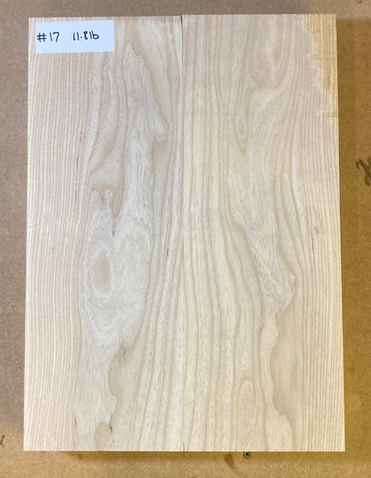 Ash Body Blank - 2 Piece #17