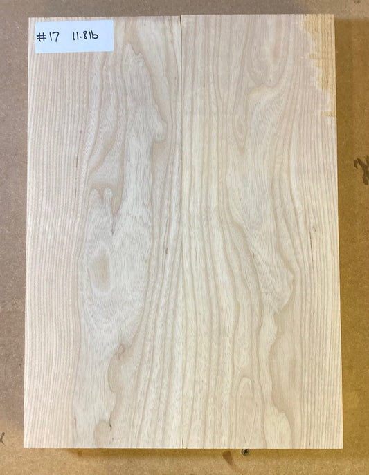 Ash Body Blank - 2 Piece #17