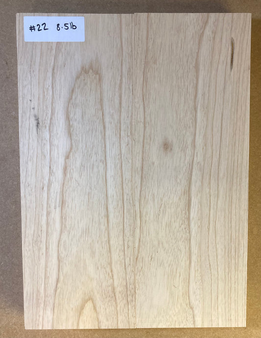 Ash Body Blank - 2 Piece #22