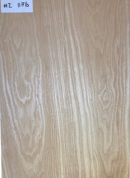 Ash Bass Body Blank - 2 Piece #2