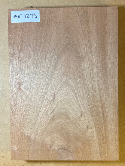 Sapele Body Blank - 1 Piece #6