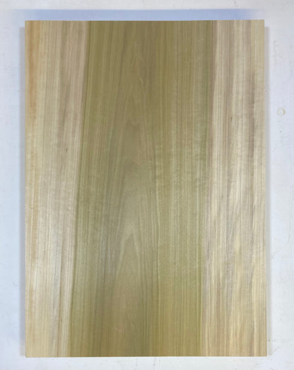 Tulip/Poplar Body Blank - 1 Piece #2