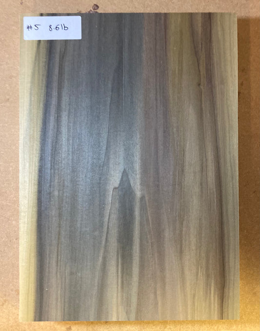 Tulip/Poplar Body Blank - 1 Piece #5