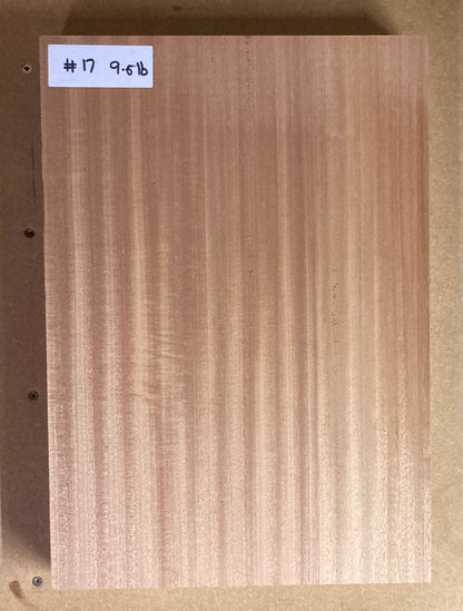 Sapele Body Blank - 1 Piece #17