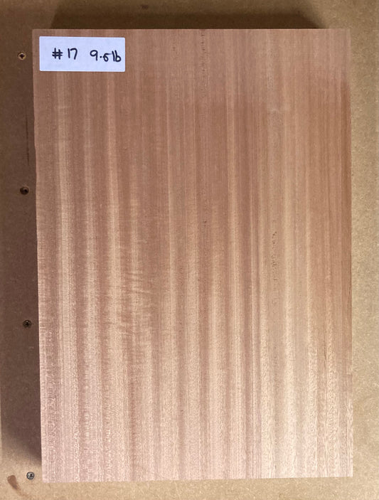Sapele Body Blank - 1 Piece #17