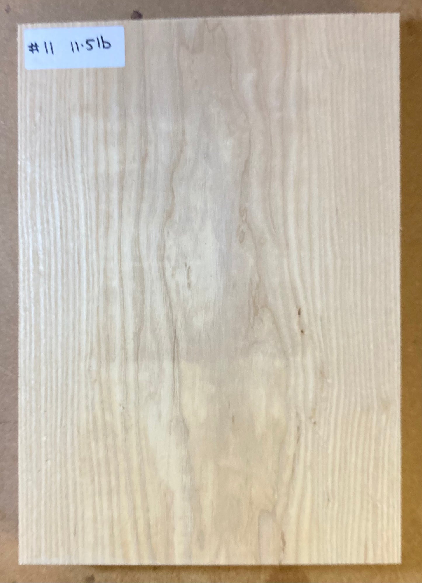 Ash Body Blank - 1 Piece #11