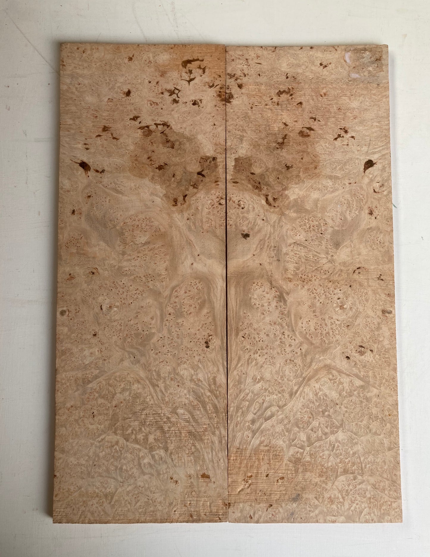Burl Maple Electric Drop Top - 2 Piece Bookmatched