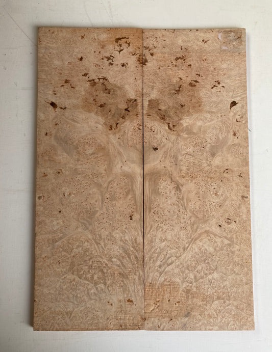 Burl Maple Electric Drop Top - 2 Piece Bookmatched