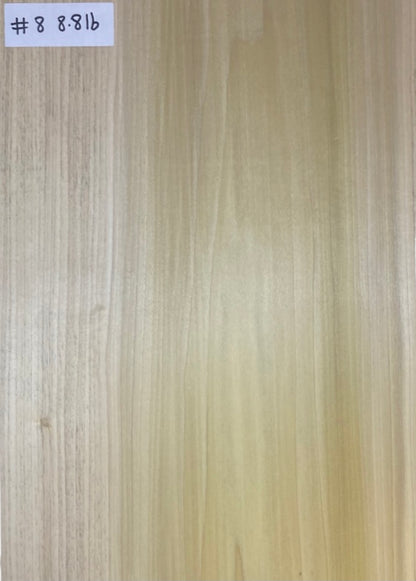 Tulip/Poplar Body Blank - 1 Piece #8