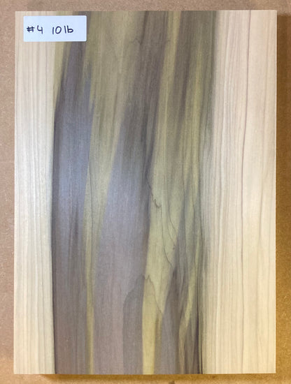 Tulip/Poplar Bass Body Blank - 1 Piece #4
