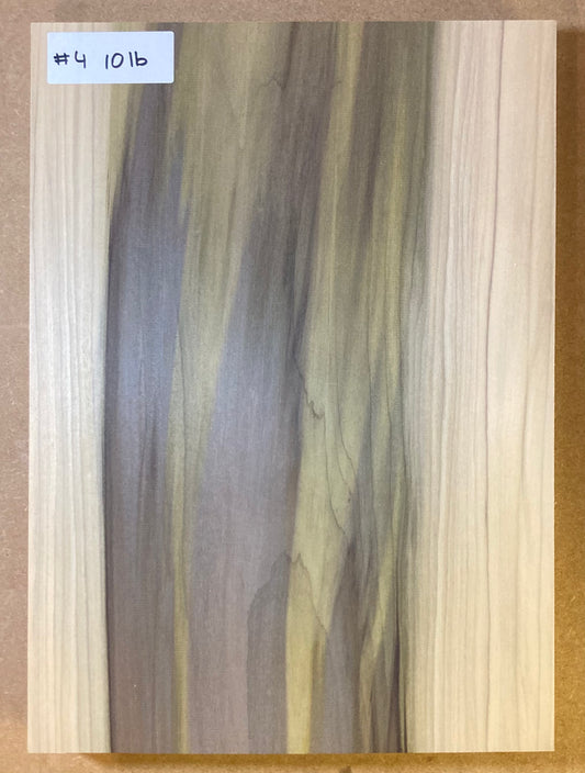 Tulip/Poplar Bass Body Blank - 1 Piece #4