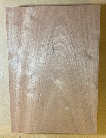 Sapele Body Blank - 1 Piece #5