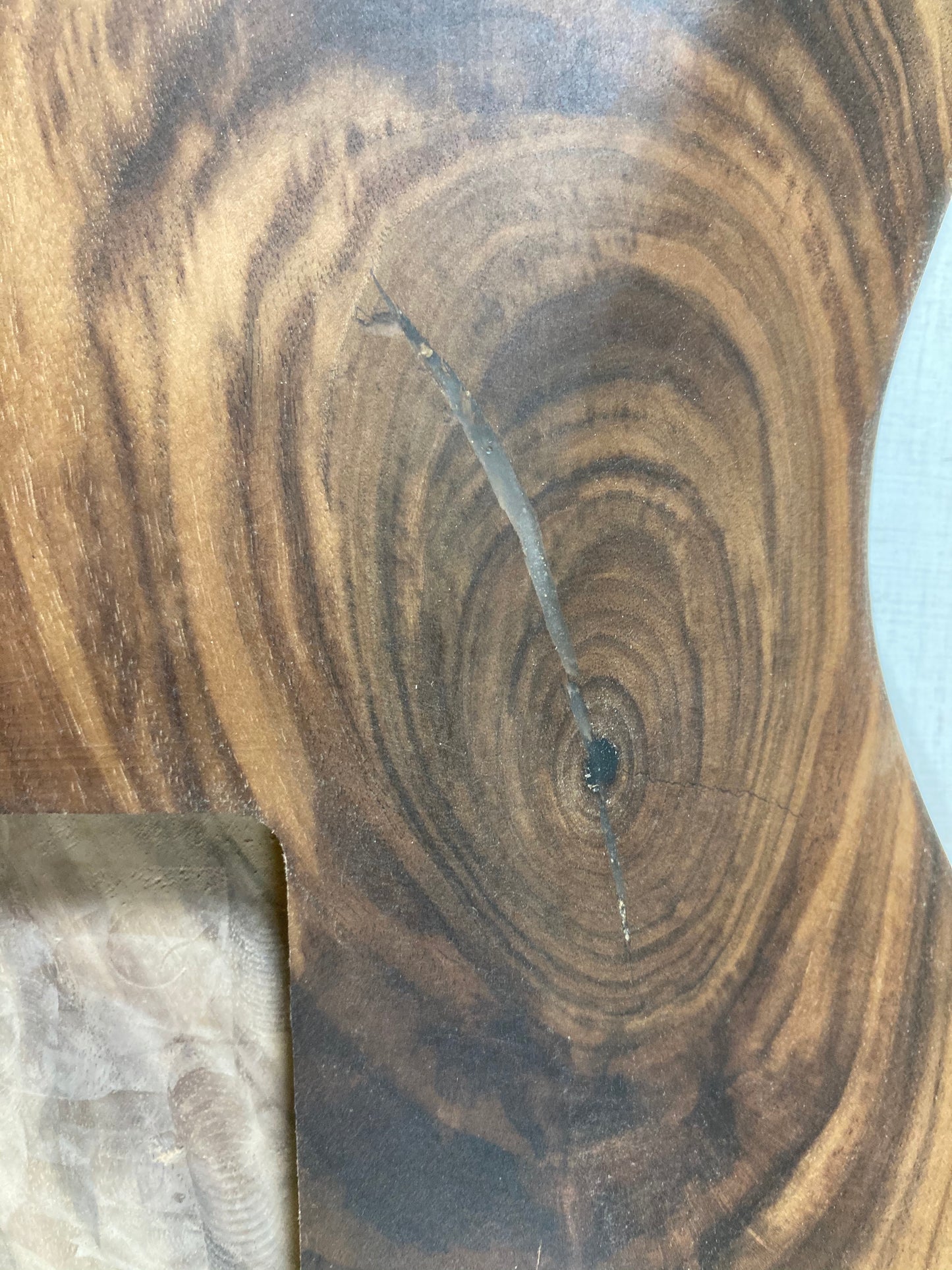 Walnut S-Style Body - Discounted