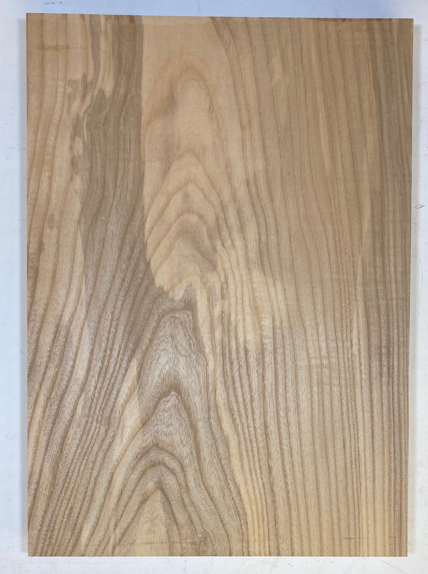 Ash Bass Body Blank - 1 Piece #42