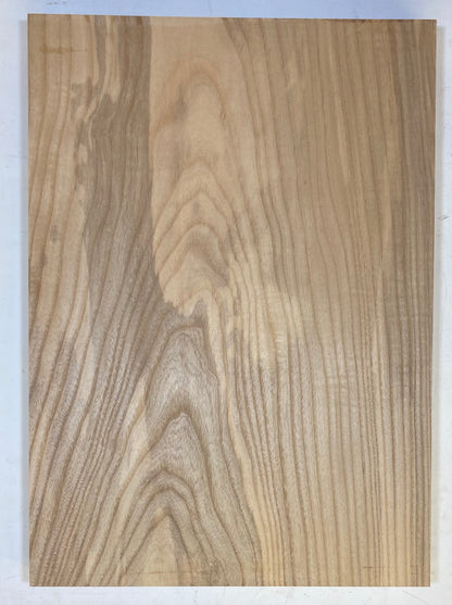 Ash Bass Body Blank - 1 Piece #42
