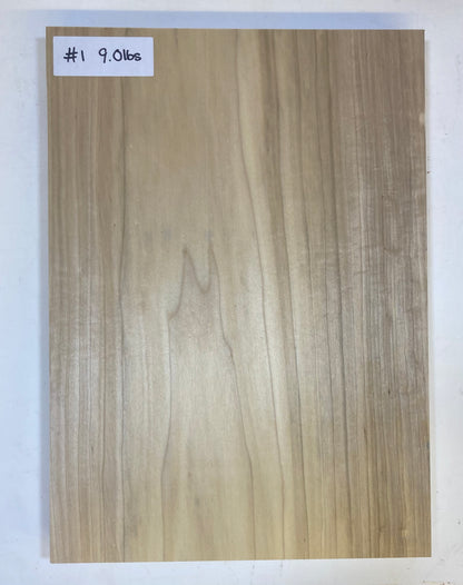 Tulip/Poplar Body Blank - 1 Piece #1