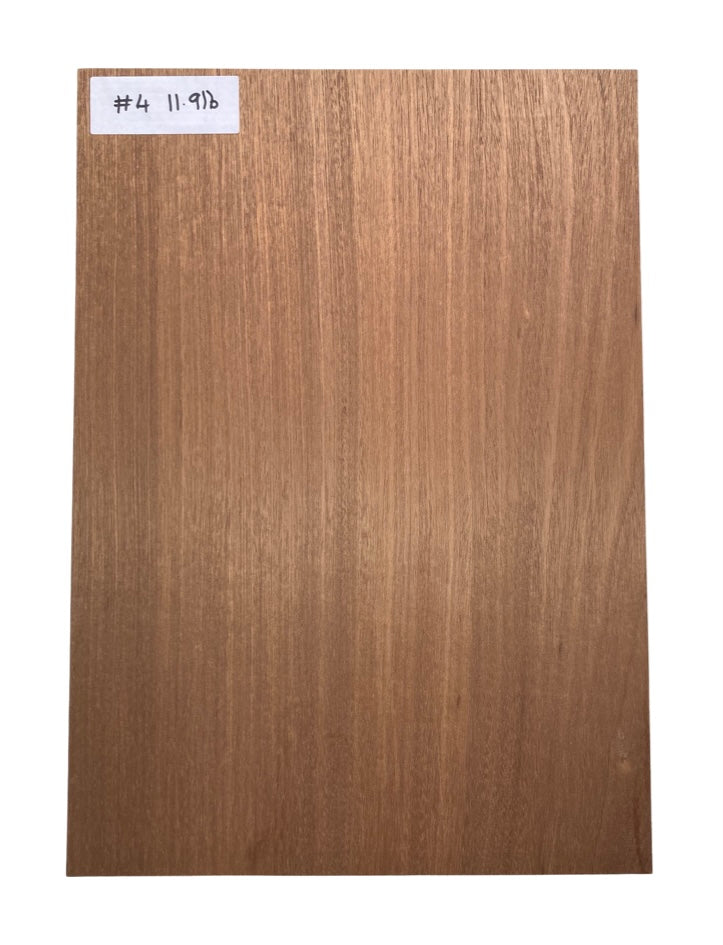 Sapele Body Blank - 1 Piece #4