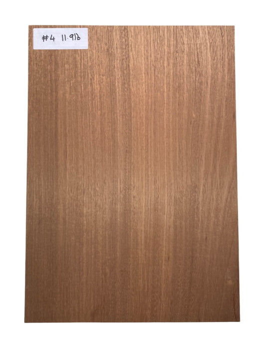 Sapele Body Blank - 1 Piece #4