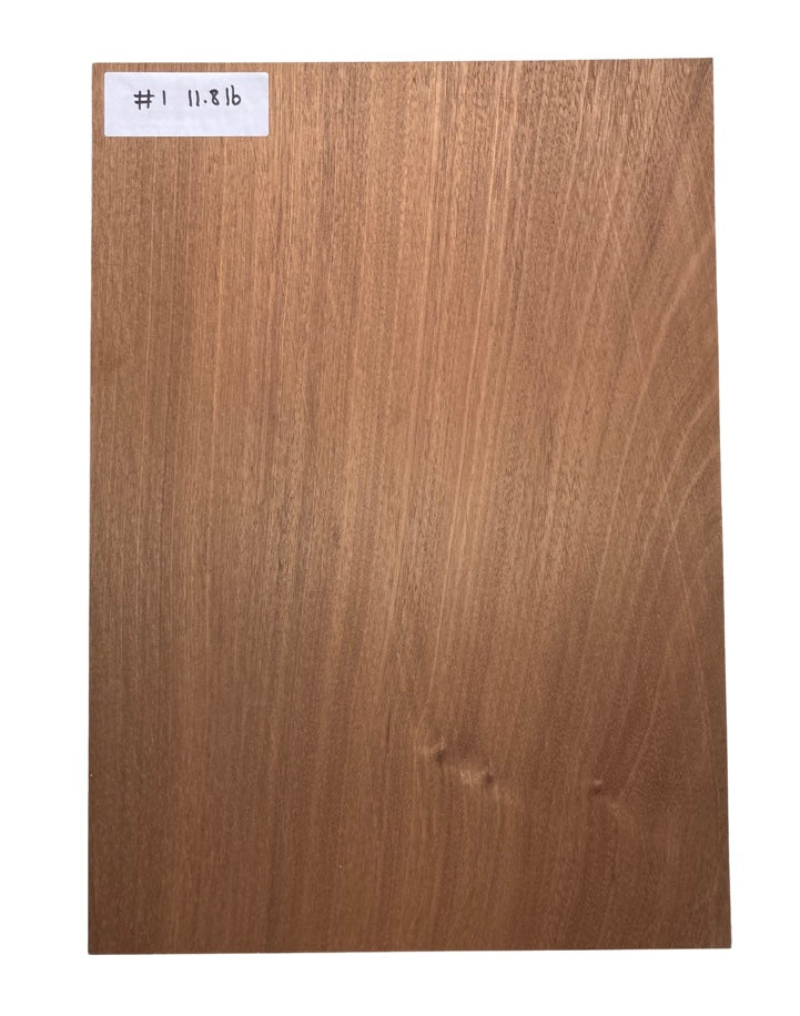 Sapele Body Blank - 1 Piece #1