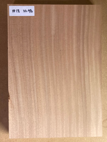 Sapele Body Blank - 1 Piece #18
