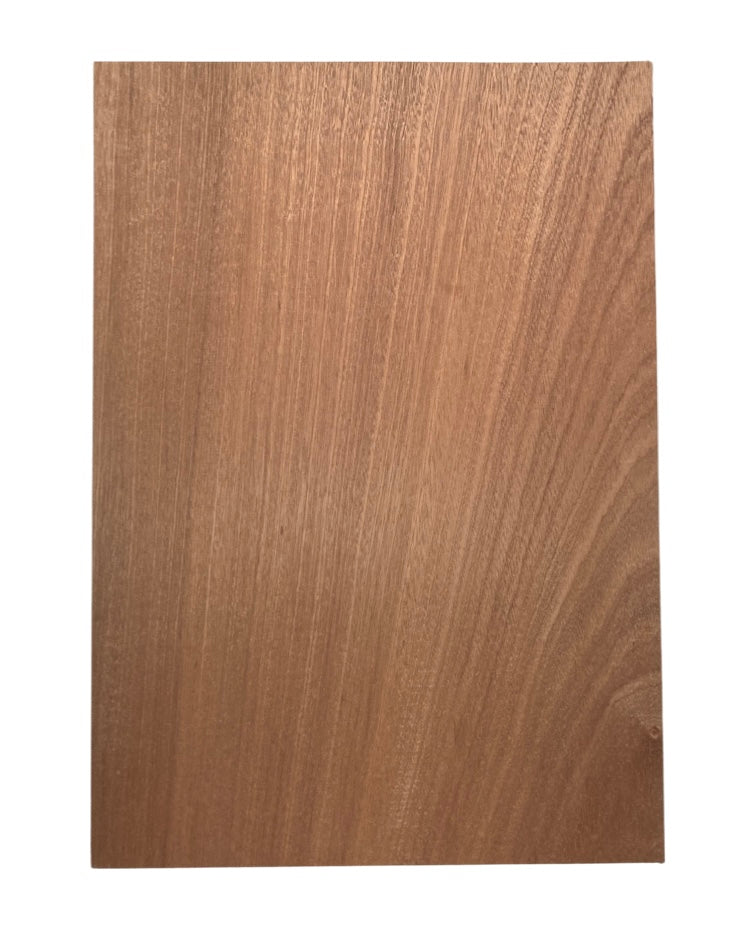 Sapele Body Blank - 1 Piece #3