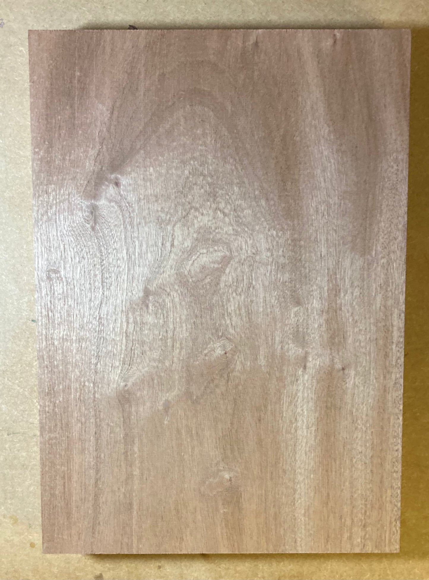 Sapele Body Blank - 1 Piece #4