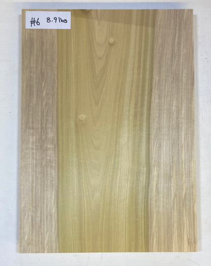 Tulip/Poplar Body Blank - 1 Piece #6