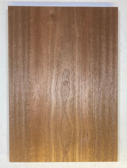 Sapele Body Blank - 1 Piece #2