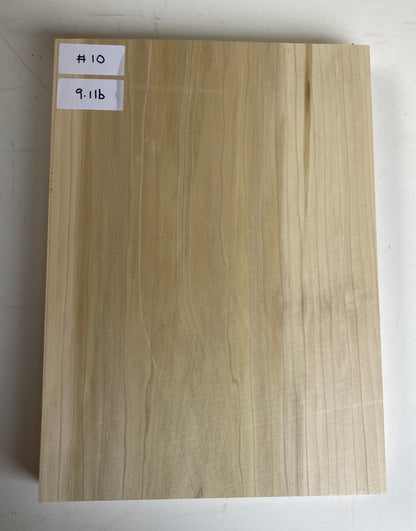 Tulip/Poplar Bass Body Blank - 1 Piece #10