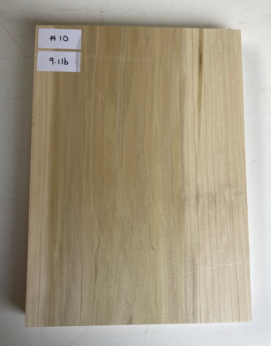 Tulip/Poplar Bass Body Blank - 1 Piece #10