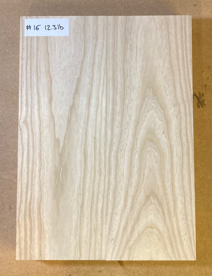 Ash Body Blank - 2 Piece #16