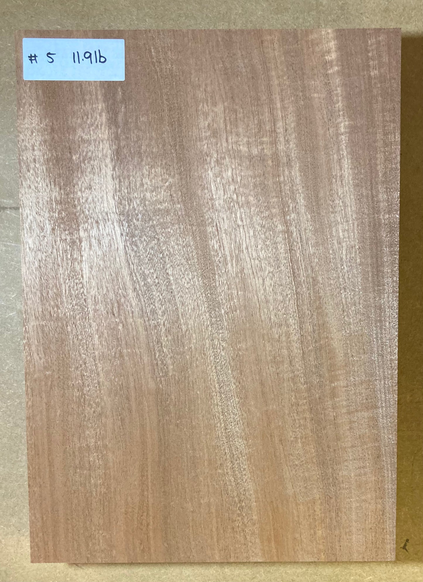 Sapele Body Blank - 1 Piece #5