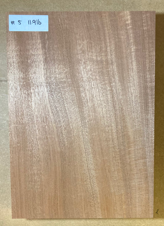 Sapele Body Blank - 1 Piece #5
