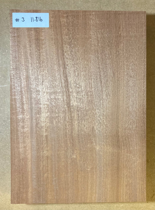 Sapele Body Blank - 1 Piece #3