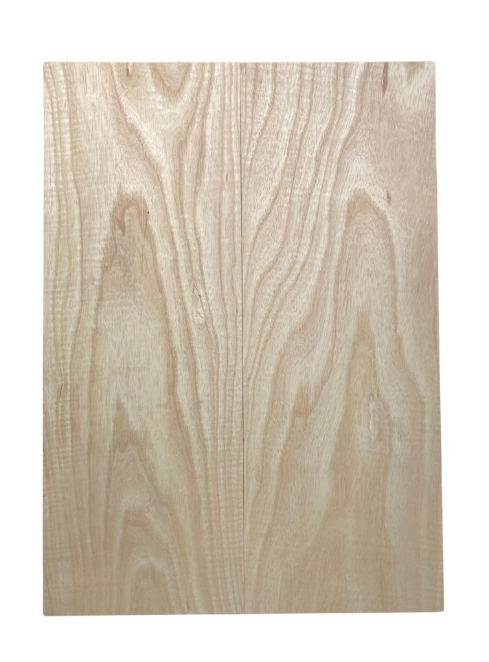 Ash Body Blank - 2 Piece #3